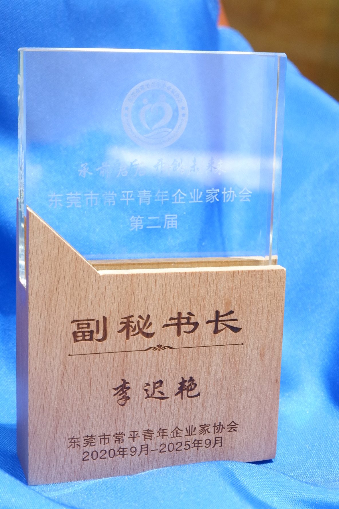 李迟艳 · 常平青年企业家协会副会长牌匾